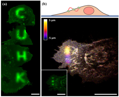 Publication – Duan Lab
