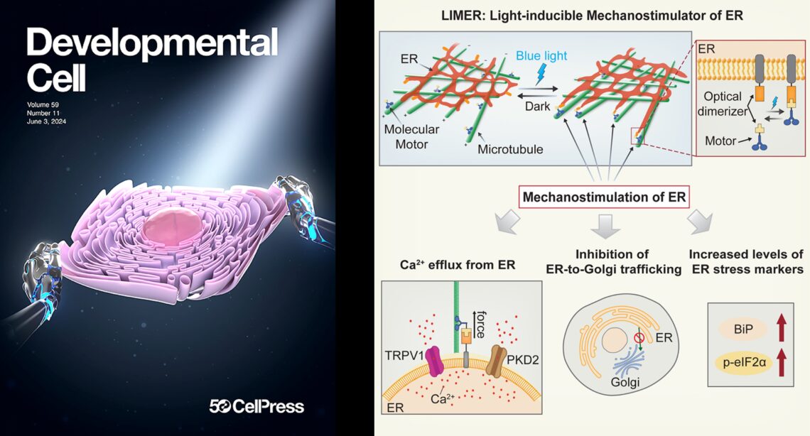 Publication – Duan Lab