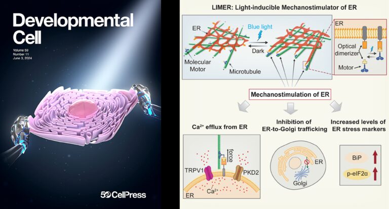 Publication – Duan Lab